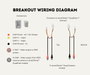 AutoChimp™ Dual Camera Kit for Suzuki Jimny / Jimny XL (2025-Onwards) | Plug & Play Factory Integration | SKU: AC-DUAL-JIMNY-2025 | Wiring Harness BreakOut Cable