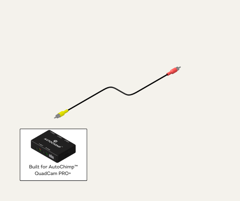 AutoChimp™ Male to Male RCA Cable for QuadCam PRO+ | Red & Yellow | 300mm Length | AC-QUADCAM-M2M-RCA